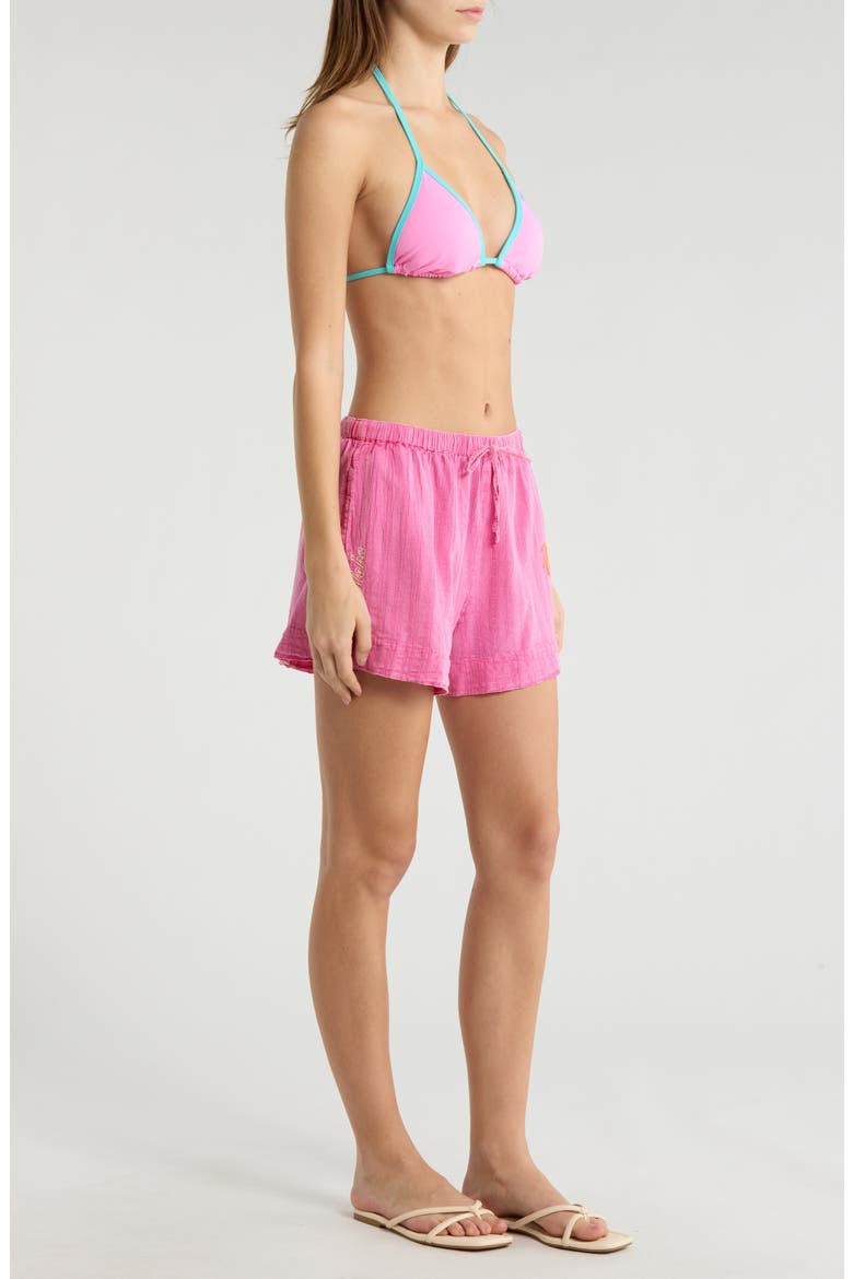 Hotel Malibu Embroidered Yarn Dyed Stripe Shorts, Alternate, color, SUPER PINK