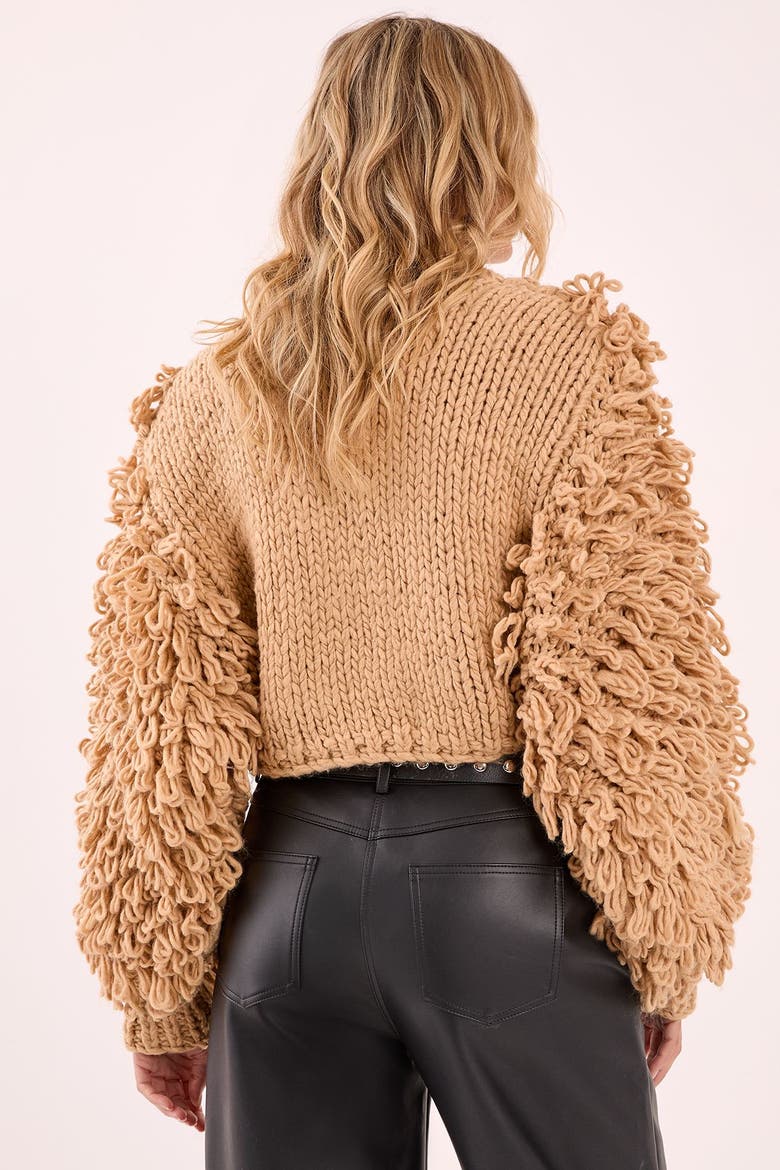 High Neck Cropped Sweater, Alternate, color, Tan
