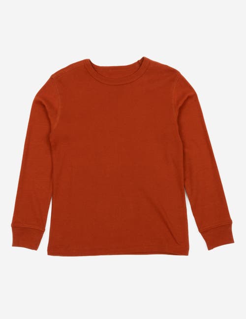 Leveret Kids Long Sleeve T-shirt, 100% Cotton, Solid Colors In Brown