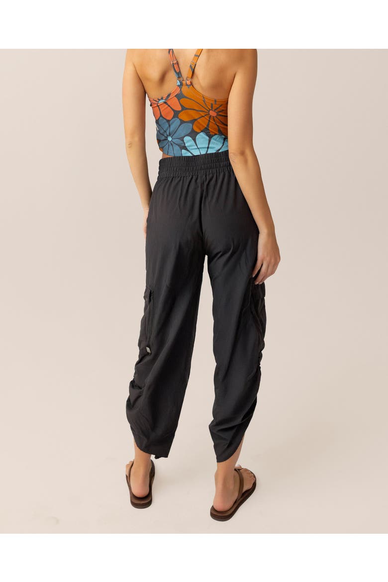 Trekker Pant, Alternate, color, Terra