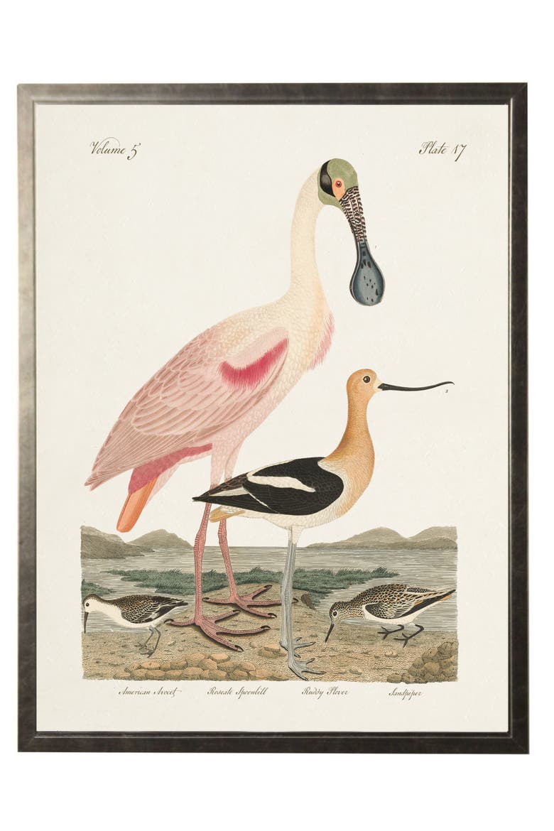 Spoonbill Birds in Silver Frame, Main, color, Multi