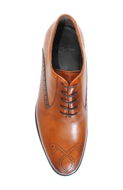 Vellapais Benito Brogue Oxford In Brown