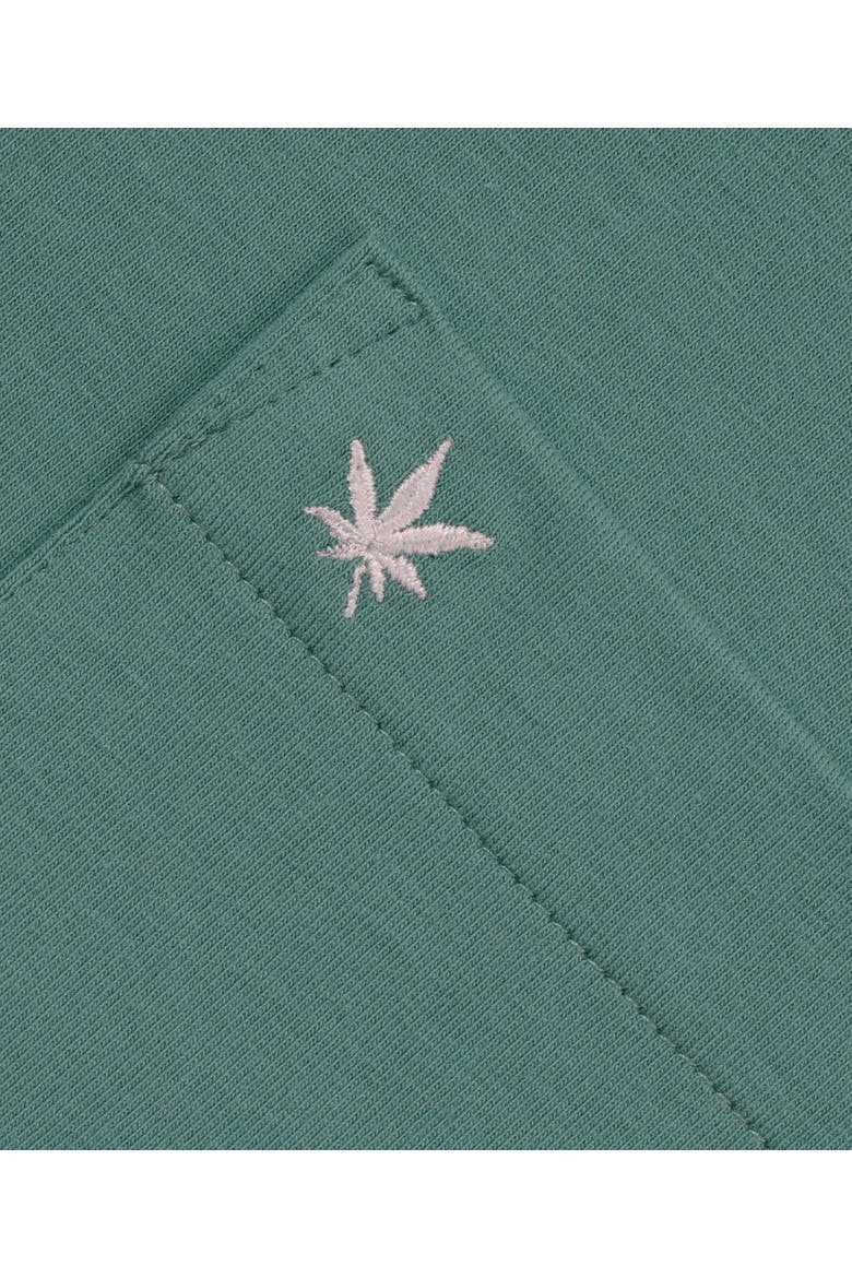 Club Polo Dress, Alternate, color, Seafoam