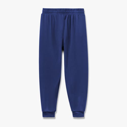 Feat Roam Jogger In Navy