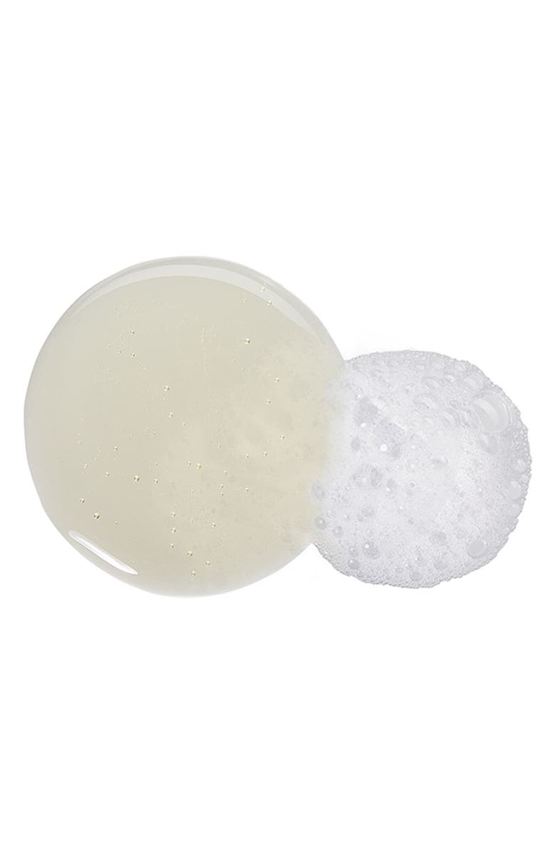 PHYTO Phythéol Oily Hair Anti-Dandruff Purifying Shampoo, Alternate, color, 