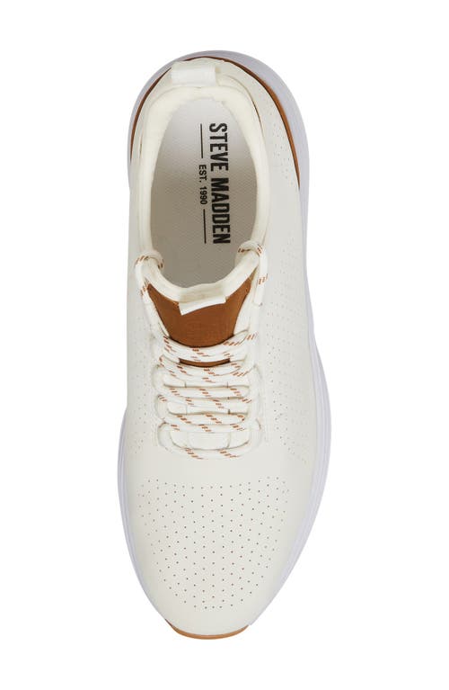 Steve Madden Sakkai Sneaker In White