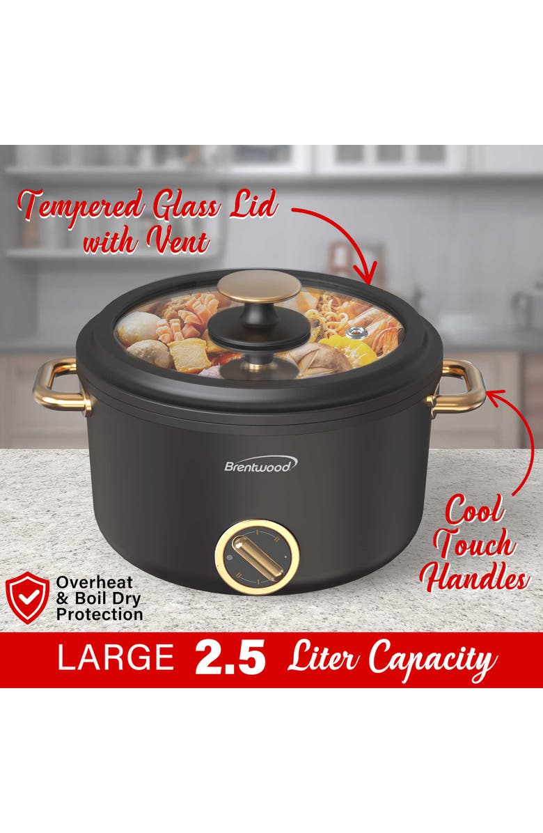 Brentwood Multi-Function Electric Hot Pot Cooker and Food Steamer with Ceramic Non-Stick Ceramic Coating, Alternate, color, Black