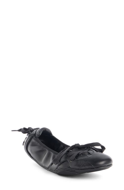 Acne Studios Bilaria Ballerina Flat In Animal Print