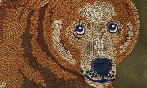 Mini Boden Kids' Bear Embroidered Cotton Graphic T-shirt In Green