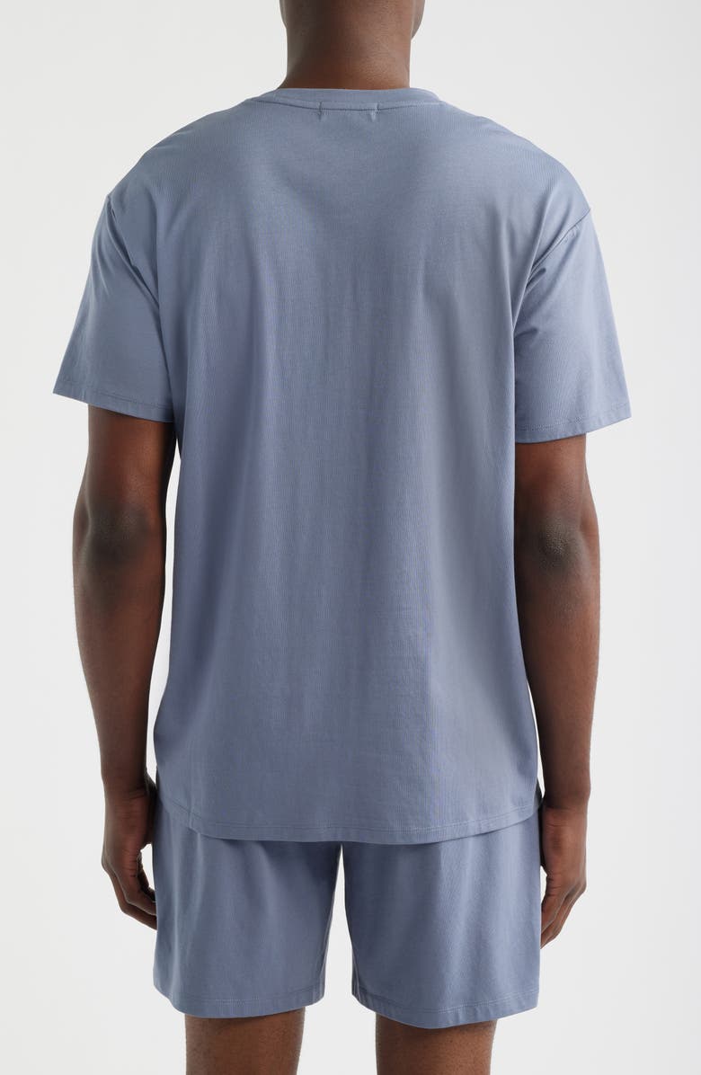 Nordstrom Cotton & Modal Crewneck T-Shirt, Alternate, color, Grey Folkstone