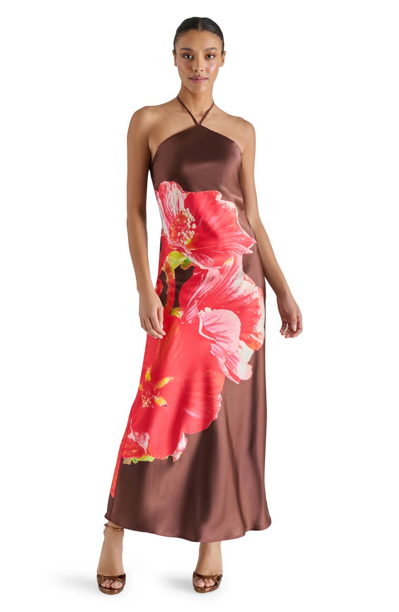 Steve Madden Floral Satin Halter Maxi Dress, Alternate, color, Burnt Umber