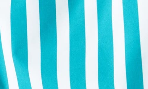 Nordstrom Kids' Volley Swim Trunks In Multi