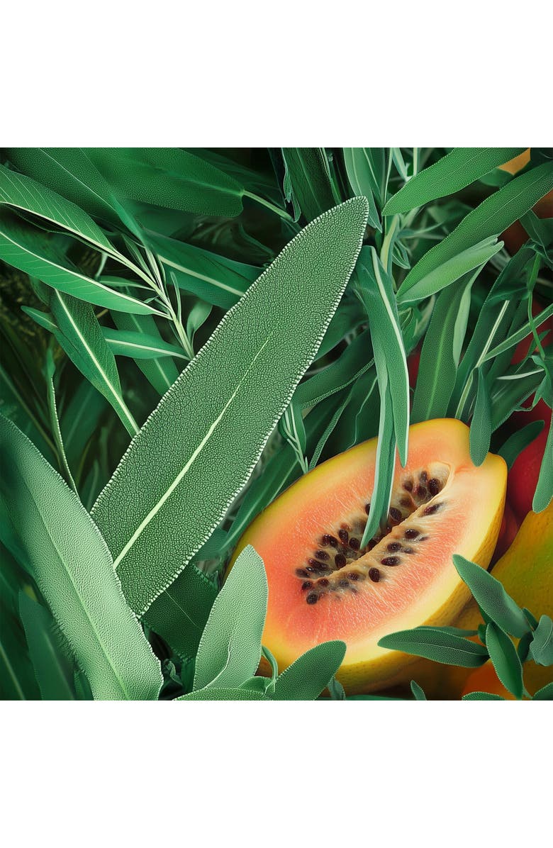 House of Sillage HOS N.004 Parfum, Alternate, color, 