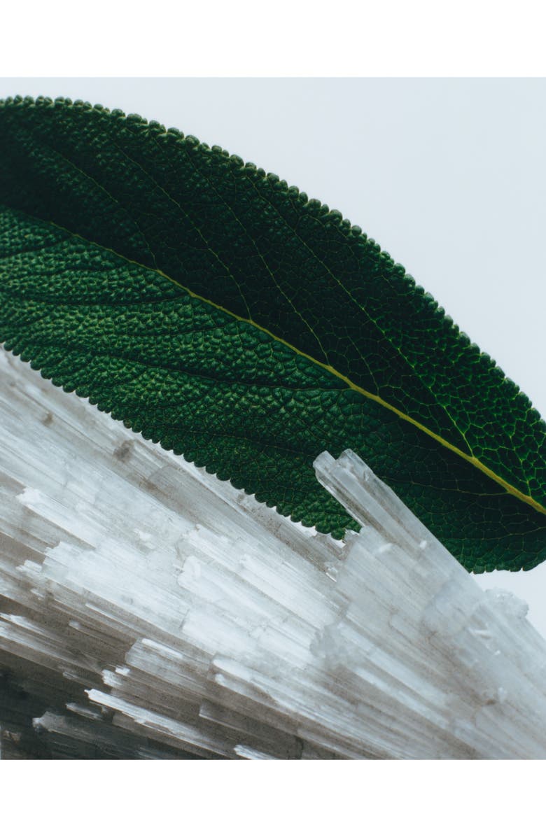 Jo Malone London<sup>™</sup> Jumbo Wood Sage & Sea Salt Body & Hand Wash $76 Value, Alternate, color, 