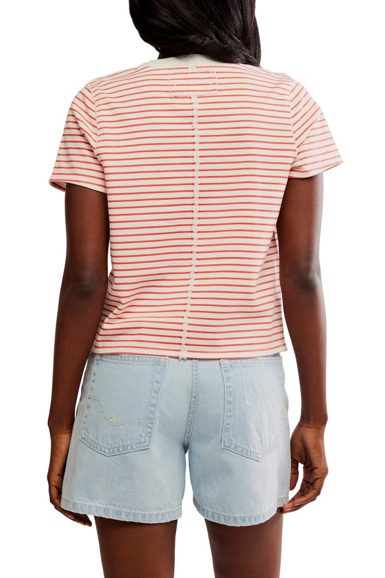Everyday Stripe Cotton T-Shirt, Alternate, color, IVORY COMBO