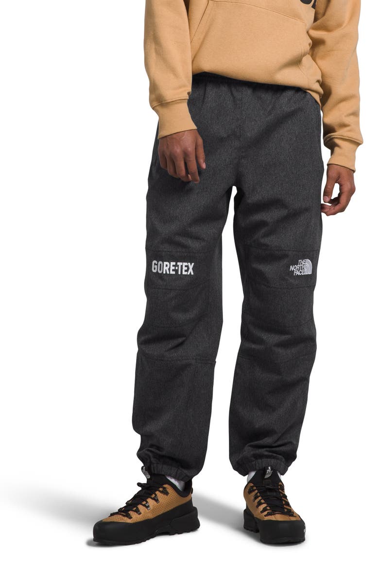 The North Face GTX Mountain Pants, Main, color, 