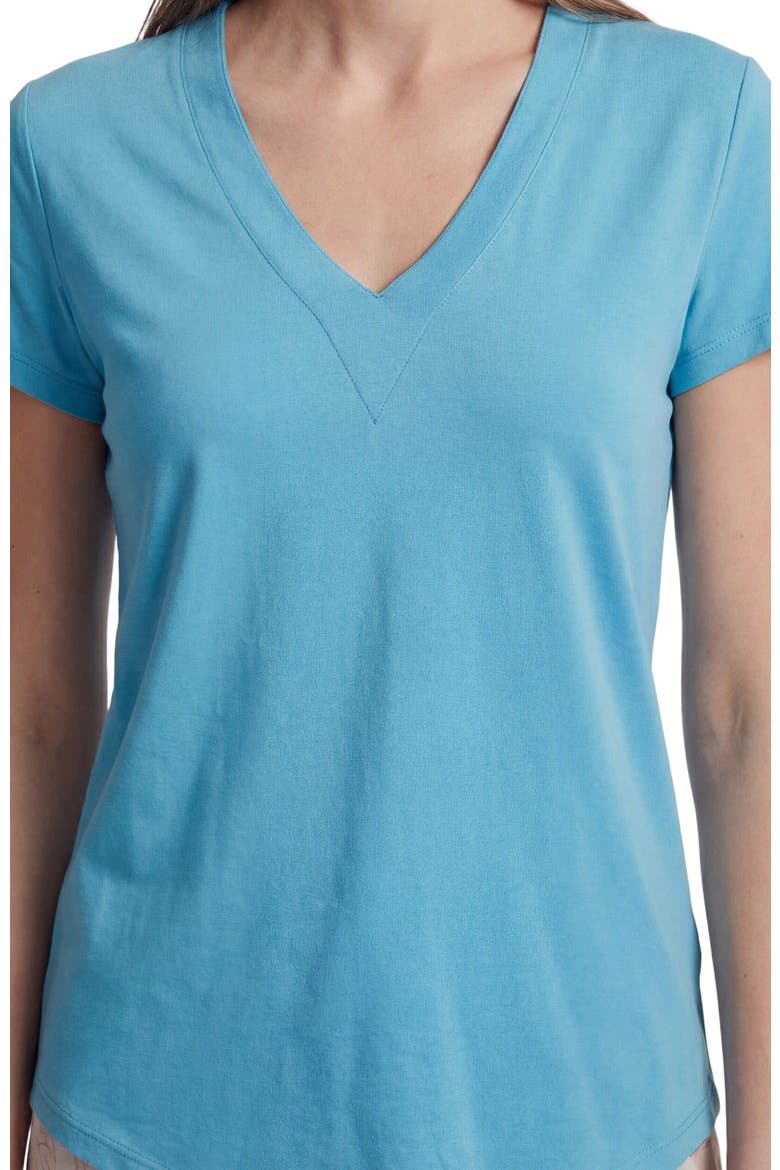 Womens V-neck Top, Alternate, color, TEAL