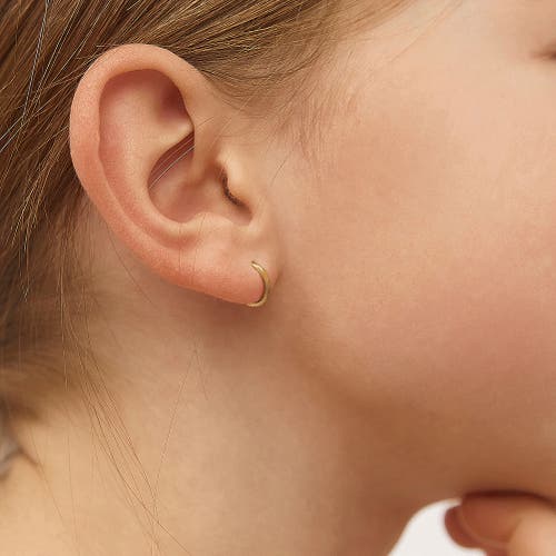 Shop In Season Jewelry 14k The Tiny Hoop Earrings In Gold