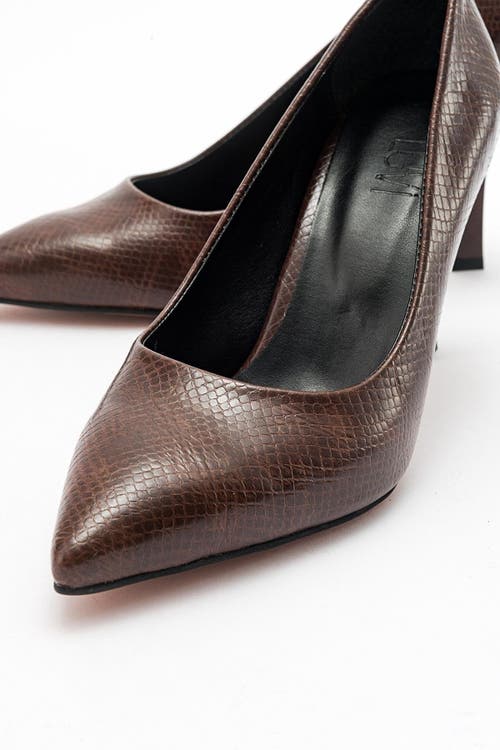 Prologue Shoes Forest Pointed Toe Pump