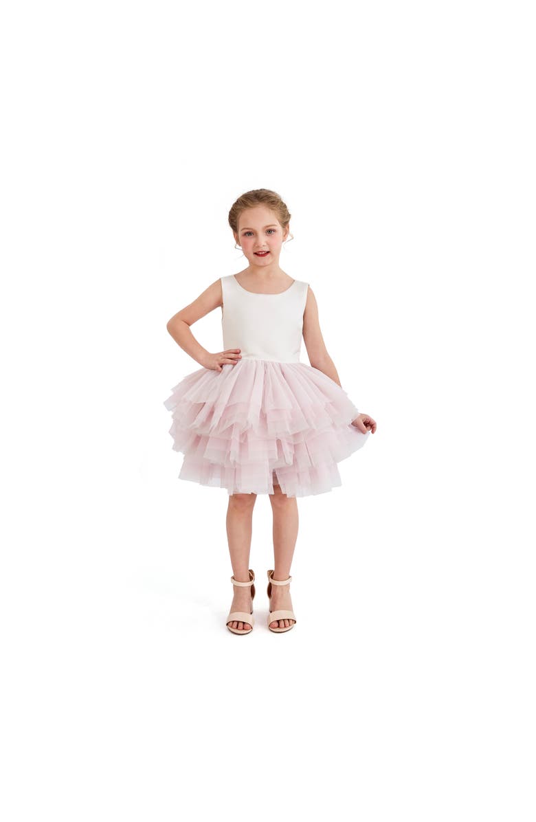 Tulleen Selene Tulle Dress, Main, color, Pink