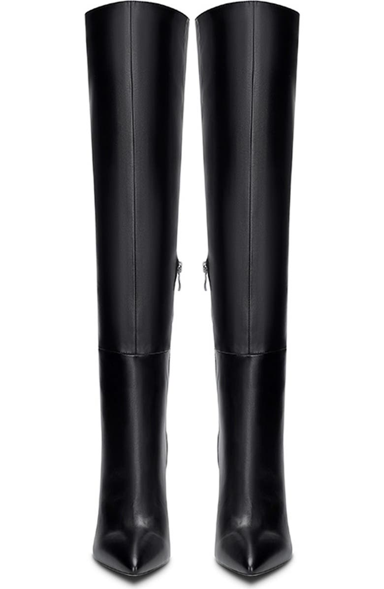 FEMME LA Paris Pointed Toe Knee High Boot, Alternate, color, Black