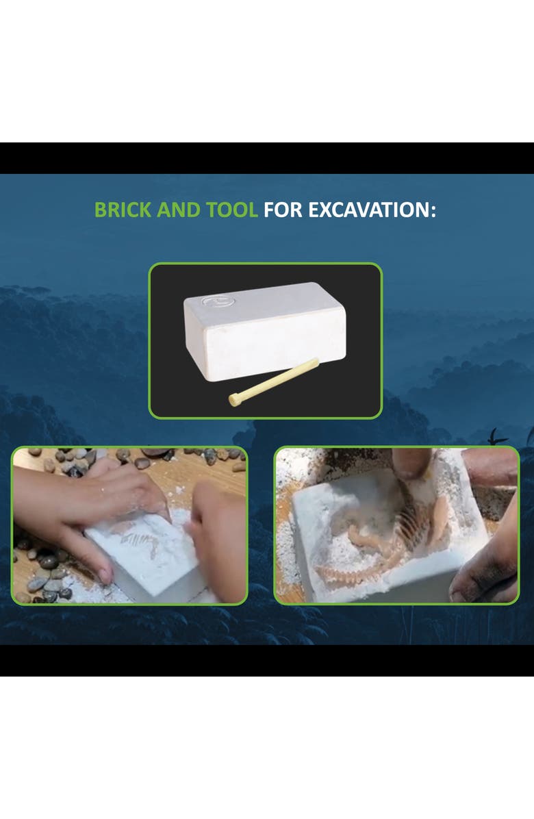 Dino Explorers Ar Dinosaur Xl and Brick Combo 10 Inch T Rex Figure and Dig Kit, Alternate, color, Multicolored