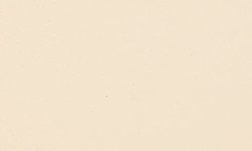 Valentino Garavani Vlogo Buckle Signature Leather Belt In Ren Butter White