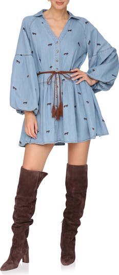 Tie Waist Long Sleeve Chambray Babydoll Dress