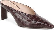27 EDIT Naturalizer Emerson Croc Embossed Leather Pointed Toe Mule