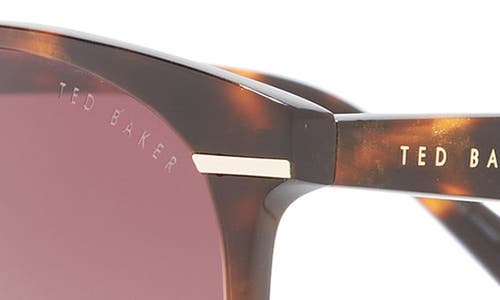 Ted Baker London 55mm Full Rim Round Sunglasses In Brown