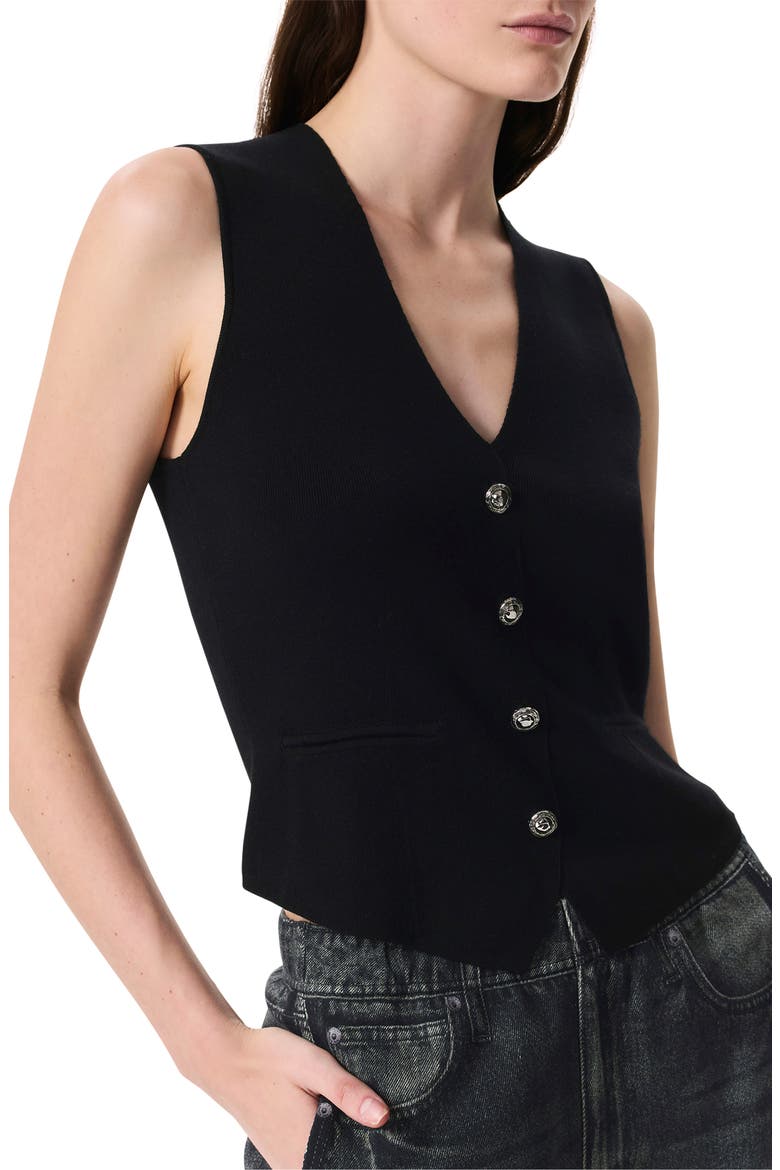 Ella Merino Wool Blend Sweater Vest, Alternate, color, BLACK