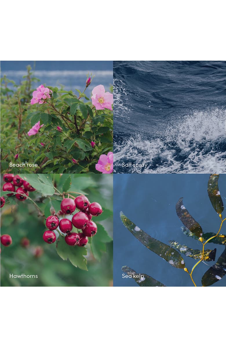 SKANDINAVISK Lotion HAV 500ml, Alternate, color, Blue