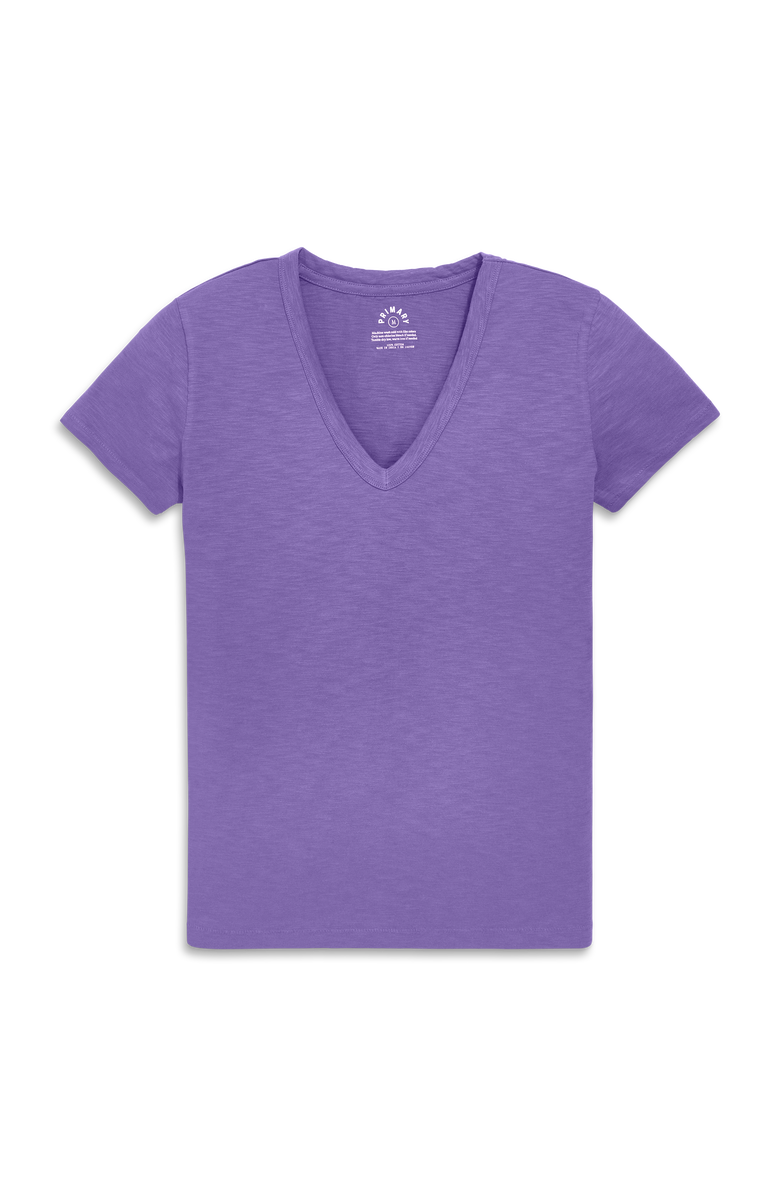 Primary Adult Classic Slub V-Neck Tee, Main, color, Violet