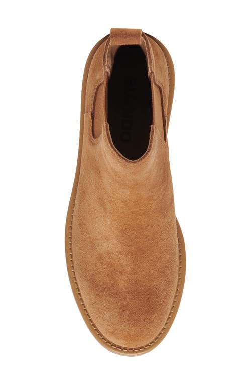 Blondo Mayes Waterproof Chelsea Boot