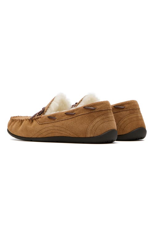 Abeo Amble Bow In Tan - Regular