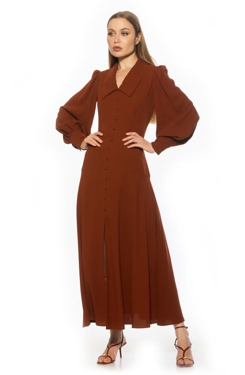 Alexia Admor Kate Collared Long Sleeve Maxi Dress In Brown