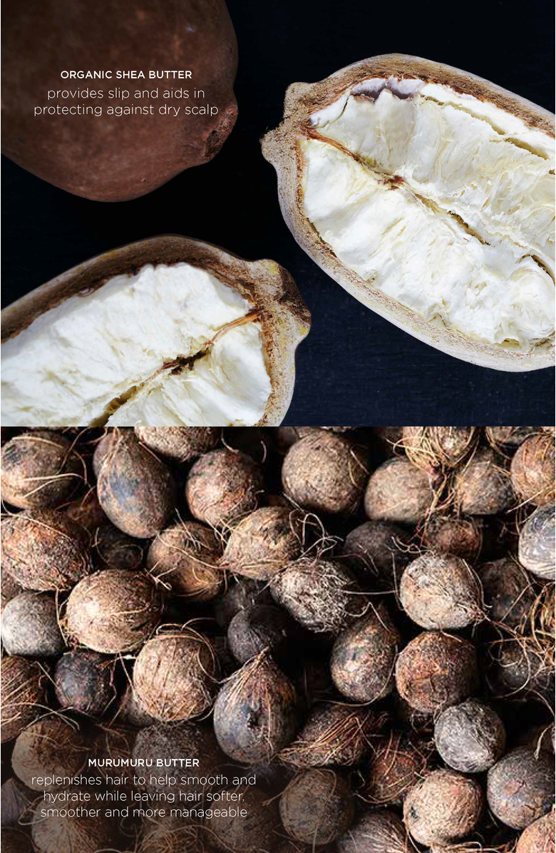 Intelligent Nutrients Fortifi-hair Shampoo, Alternate, color, 8.5 Fl Oz