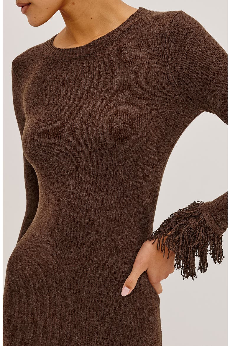 Alejandra Fringe Long Sleeve Midi Dress, Alternate, color, ESPRESSO
