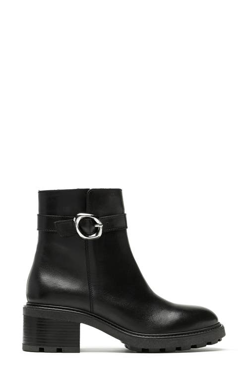 La Canadienne Avon Waterproof Buckle Boot In Black