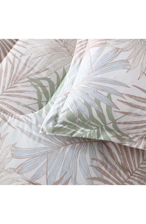 Beatrice Home Fashions Caribbean Joe Comforter & Shams Set
