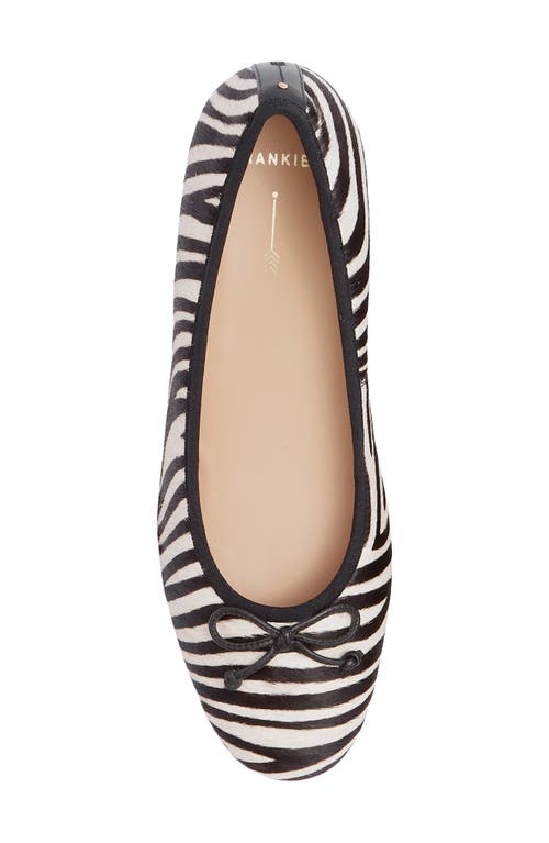 Frankie4 Trinity Genuine Calf Hair Ballet Flat In Black