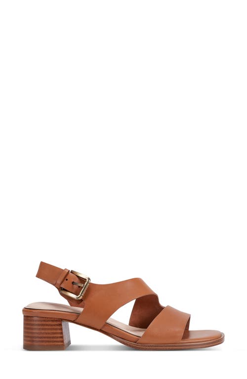 ROCKPORT ROCKPORT HENNLY SANDAL