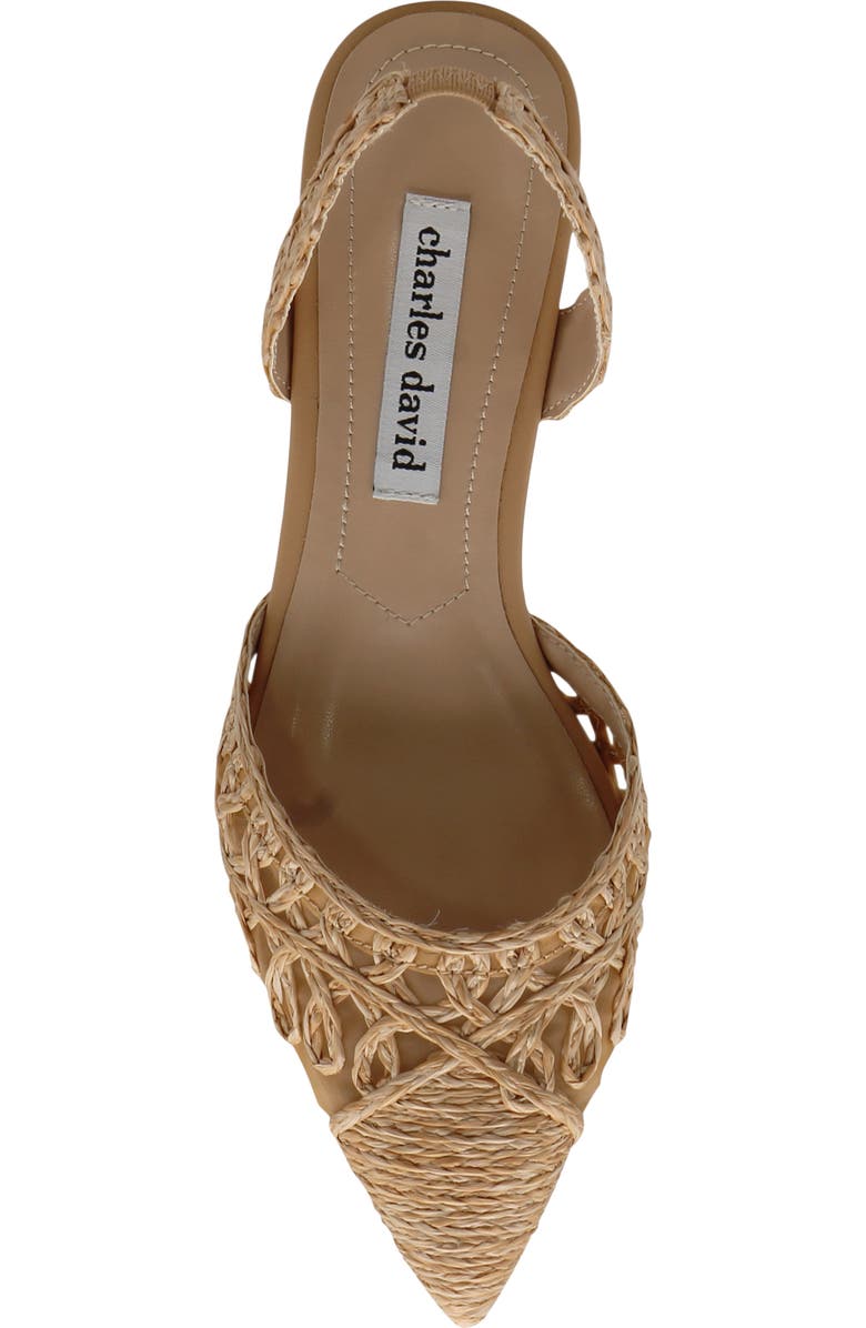 Charles David Artiste Slingback Pump, Alternate, color,