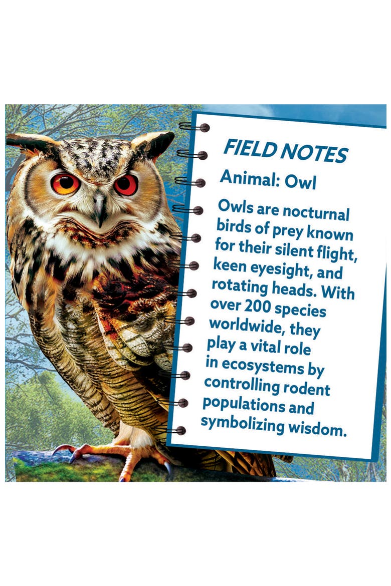 Owl 100 Piece Shaped Jigsaw Puzzle, Alternate, color, Multicolor