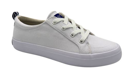 Tecs Canvas Sneaker In White