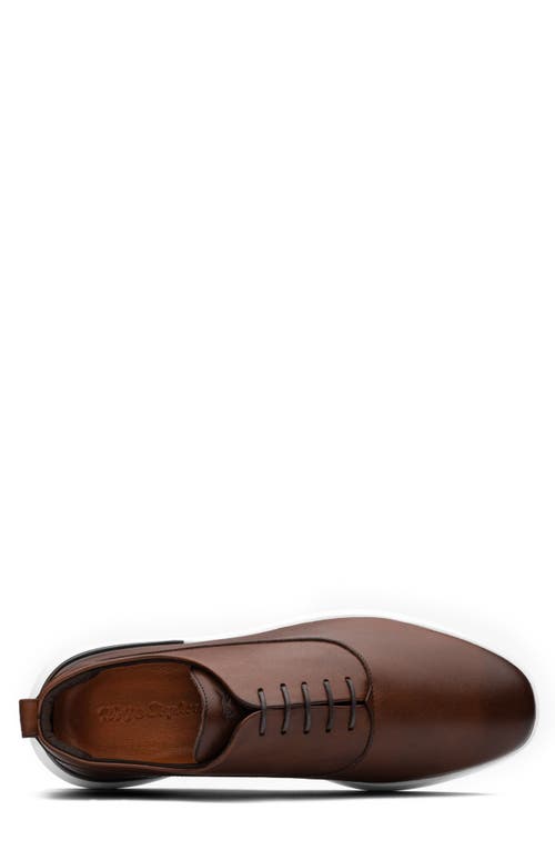 Wolf & Shepherd Crossover™ Longwing Blucher