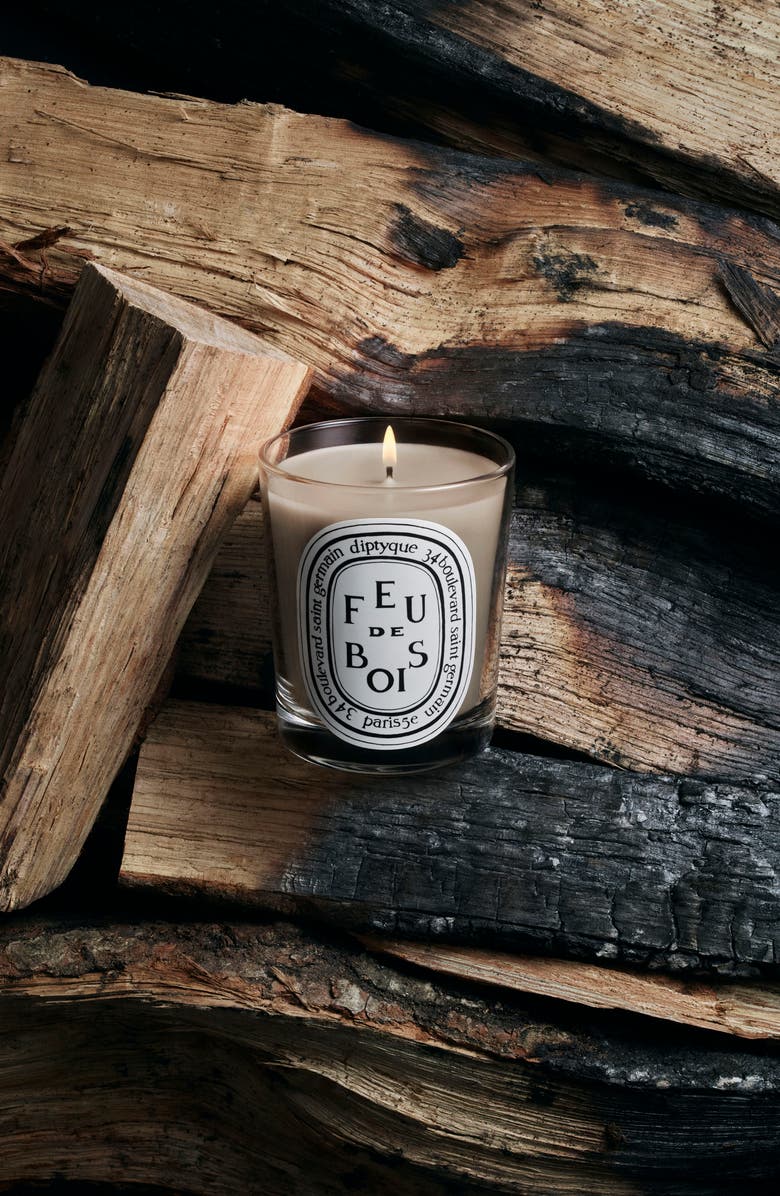 Diptyque Feu de Bois (Fire Wood) Scented Candle, Alternate, color, Clear Vessel