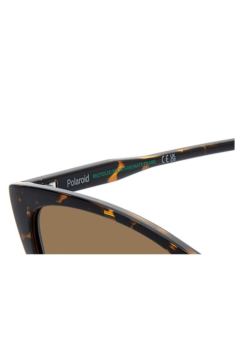 56mm Polarized Cat Eye Sunglasses, Alternate, color, HAVANA/ BRONZE POLAR