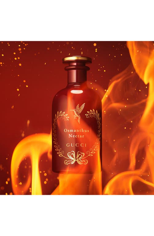 Gucci The Alchemist's Garden Osmanthus Nectar Eau De Parfum In No Color
