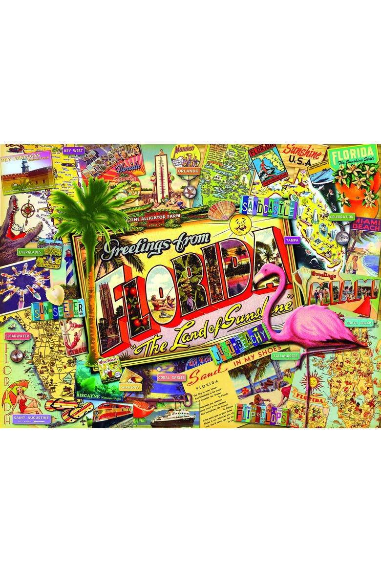 Florida 1000 piece Jigsaw Puzzle for Adults, Alternate, color, Multicolor